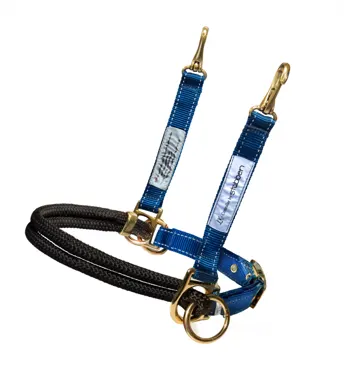 LK Controller für Stübben Halfter