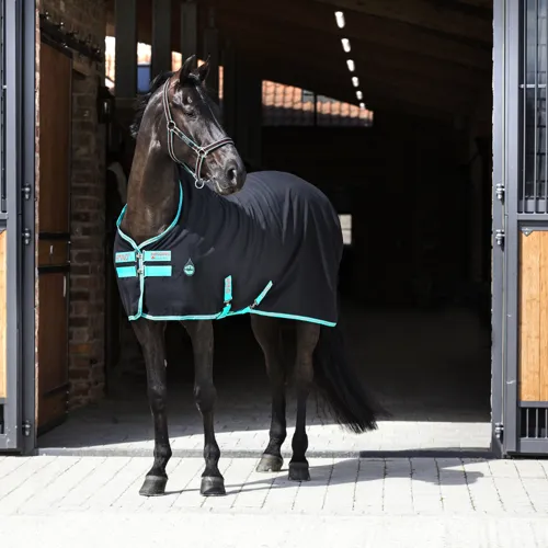 Horseware-Amigo-Stable--Sheet-0g--Black-Teal-und-Dark-Cherry-6323.jpeg
