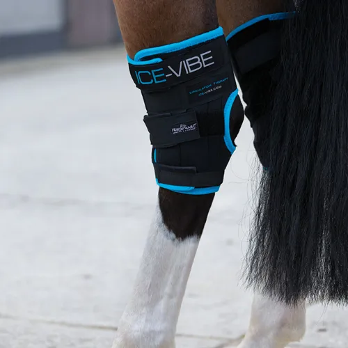 Horseware-Ice-Vibe-fuer-das-Sprunggelenk-Hock-Wrap-Black-Aqua-4239.jpg