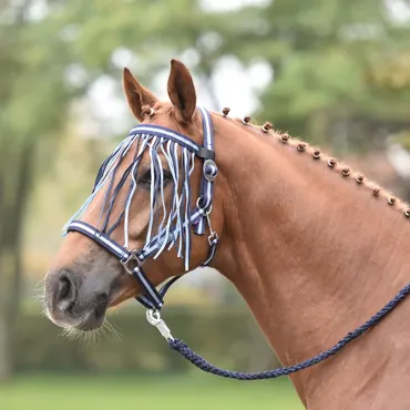 Fliegenkordelband VISBY, Shetty, navy/denim/grey