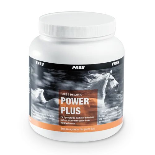 horse-dynamic-power-plus.png