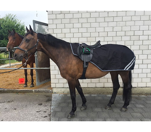 RM920_rmHorses_Ausreitdecke.jpg