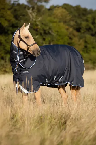 horseware_outdoordecke_amigo_bravo_12_plus_turnout_navy-blue-strongblue-black_1.webp